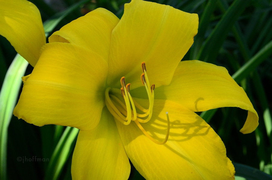 20110629_5