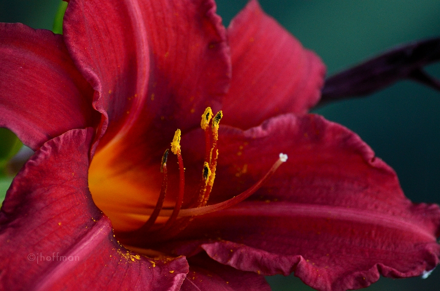 20110630_13