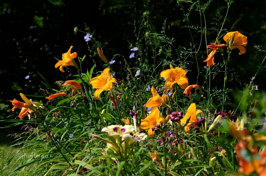 20110705_16
