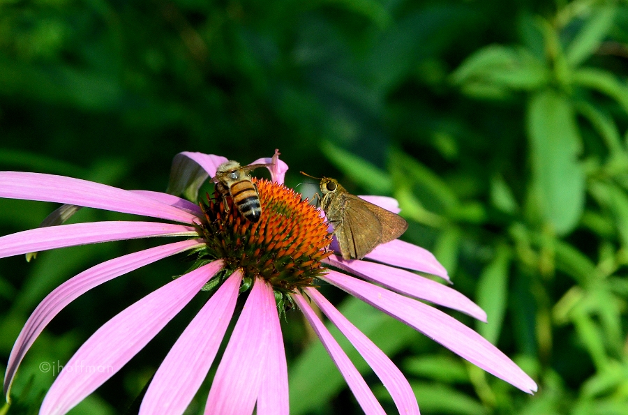 20110709_21