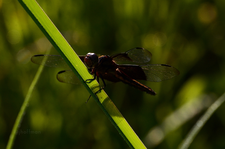 20110710_97