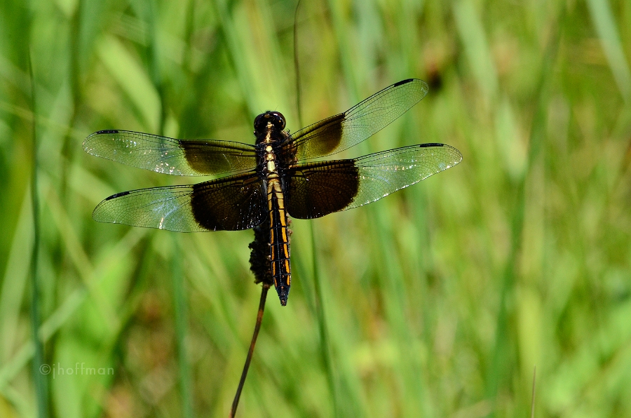 20110715_52