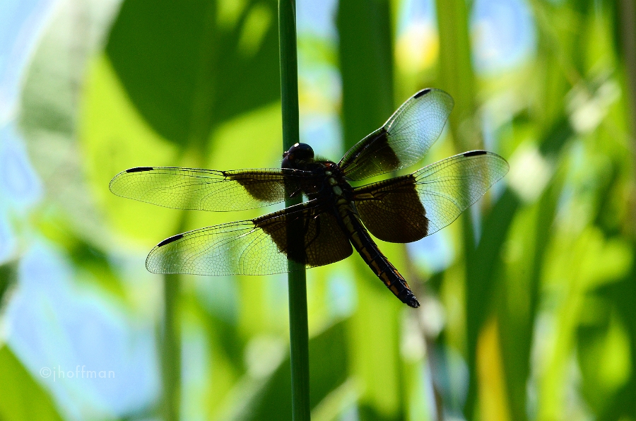 20110715_57