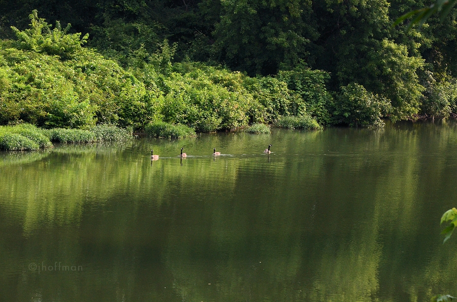 20110717_133