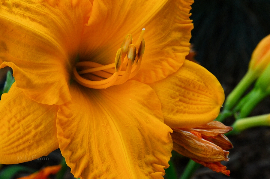 20110720_14