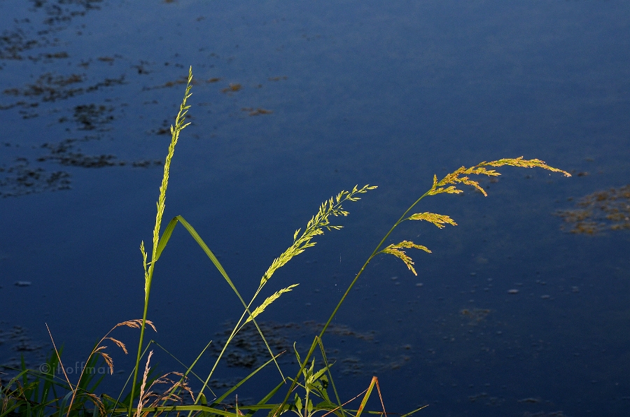 20110721_55