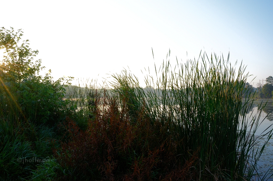 20110723_19