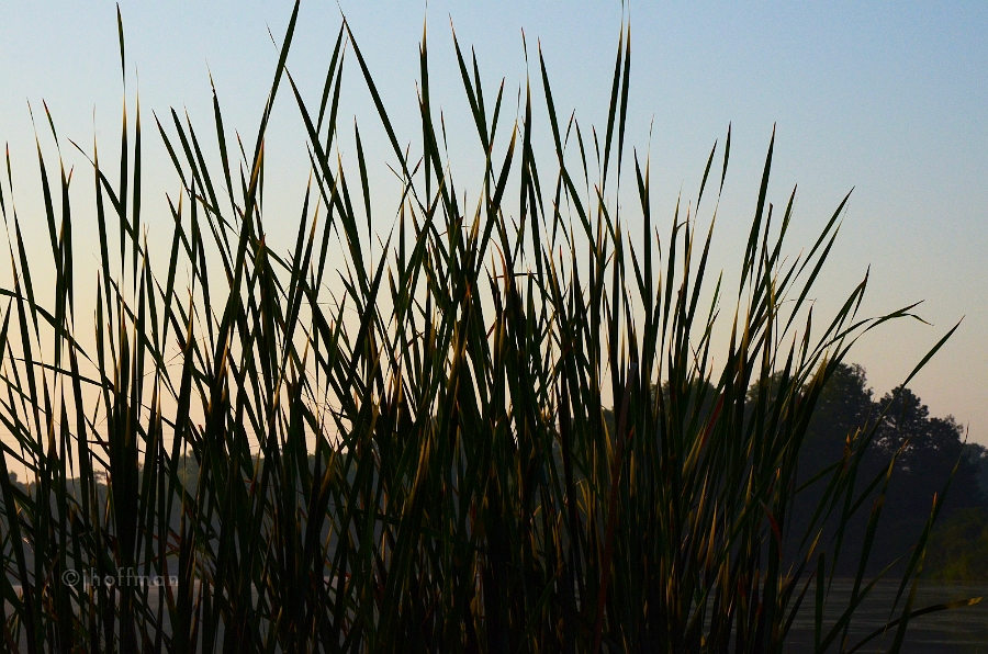 20110723_25