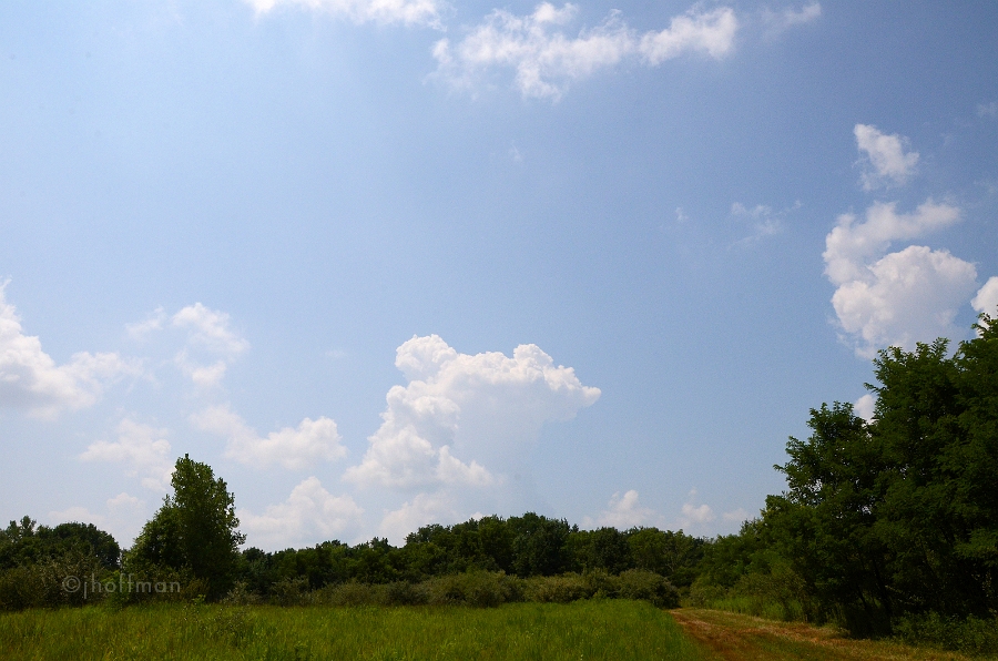 20110723_351