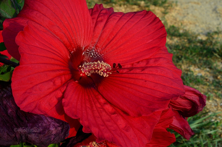 20110727_33