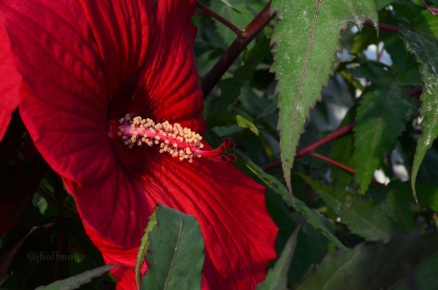 20110727_41
