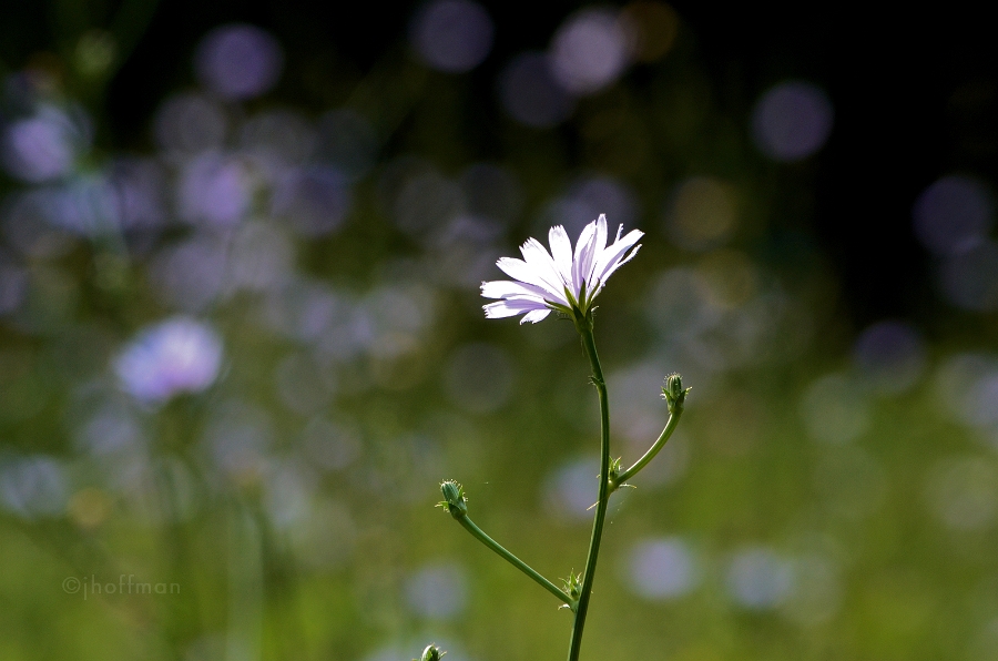 20110728_163