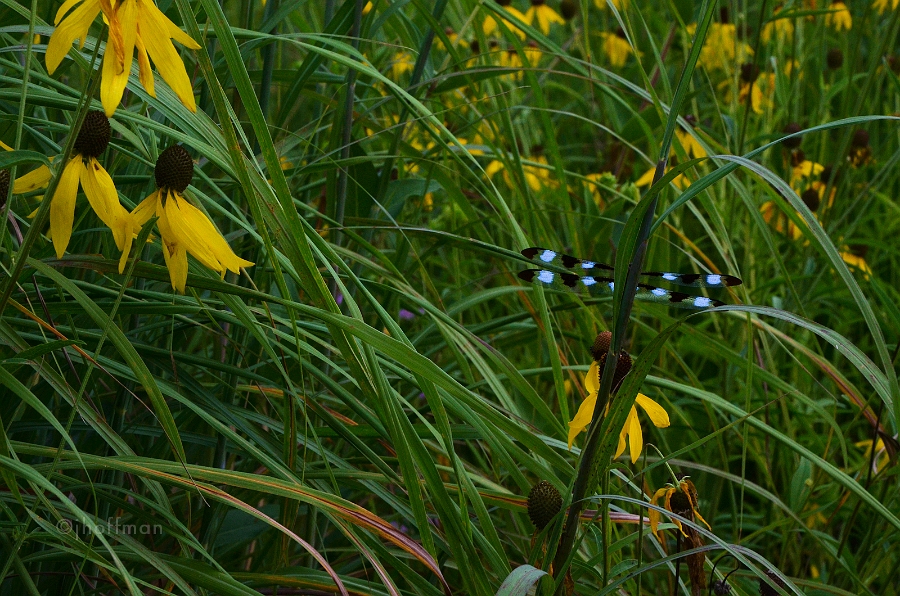 20110728_88