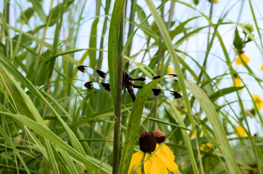 20110728_97