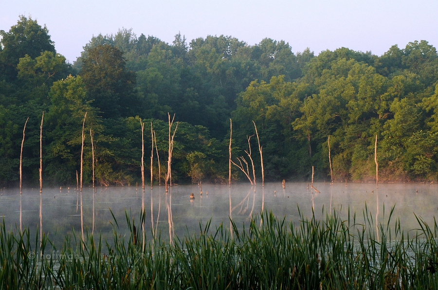 20110731_28