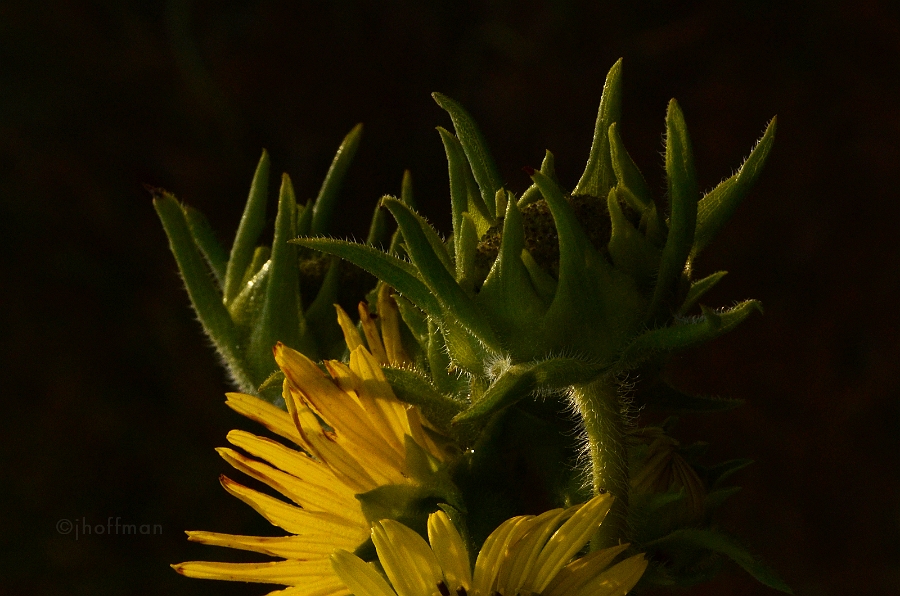 20110804_25