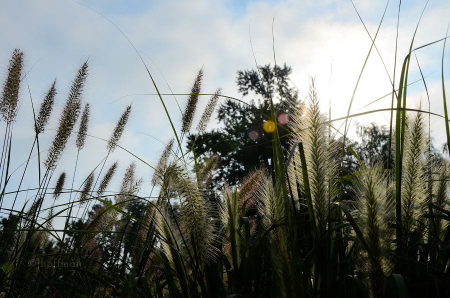 20110806_10