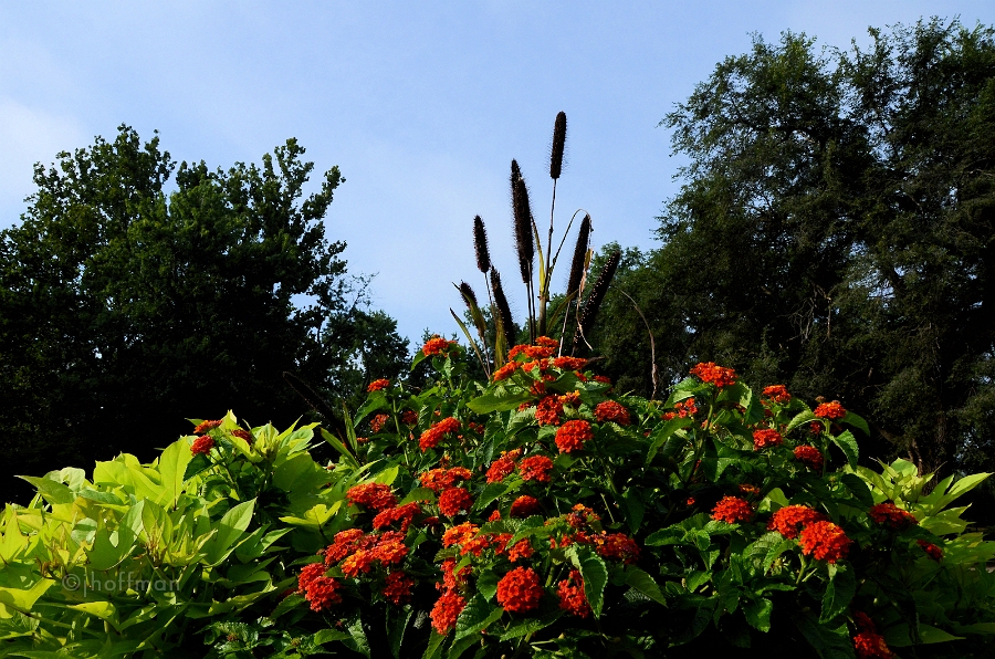 20110806_30