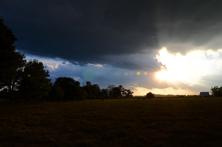 20110809_345