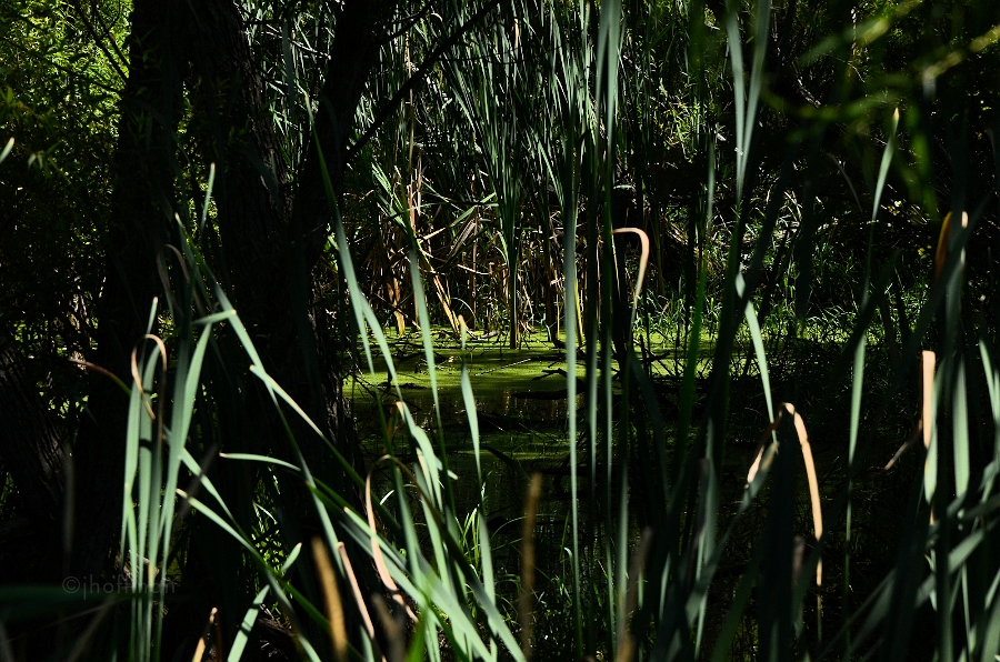 20110811_86