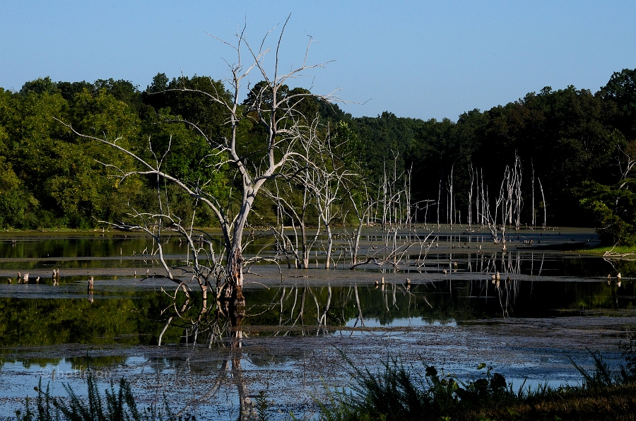 20110816_75