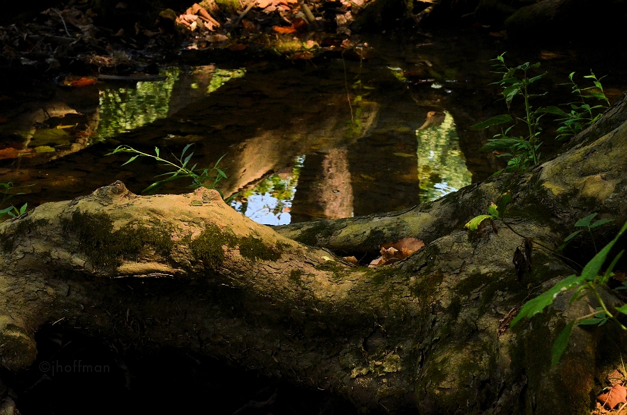 20110824_203