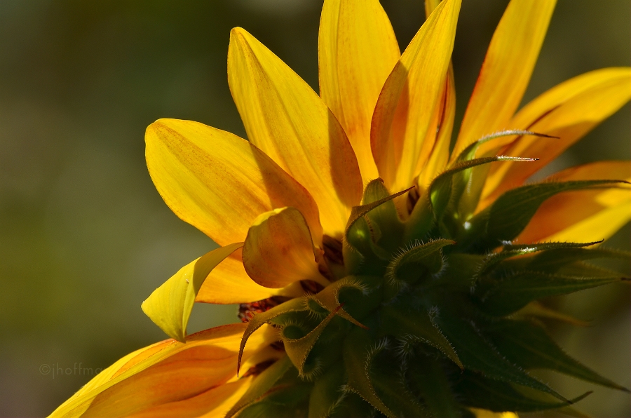 20110825_70