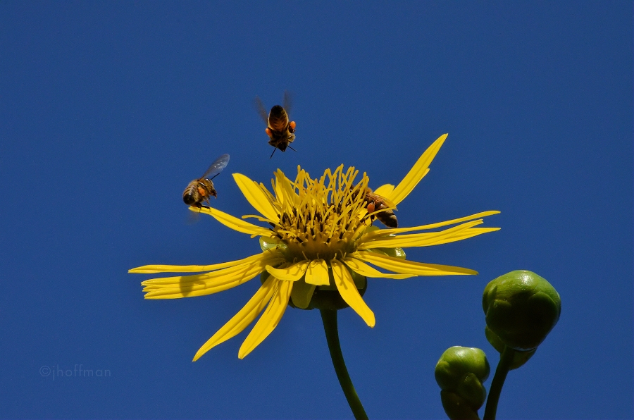 20110826_167