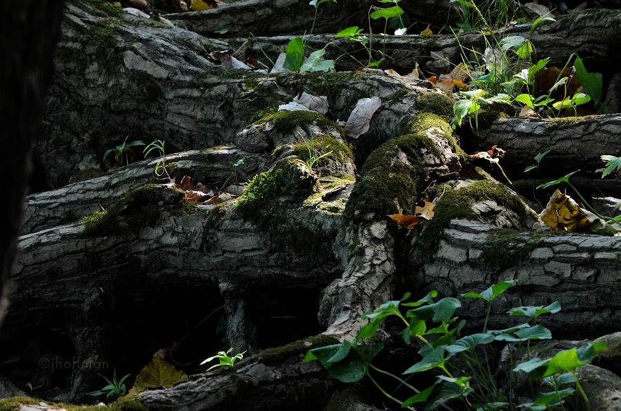 20110828_107