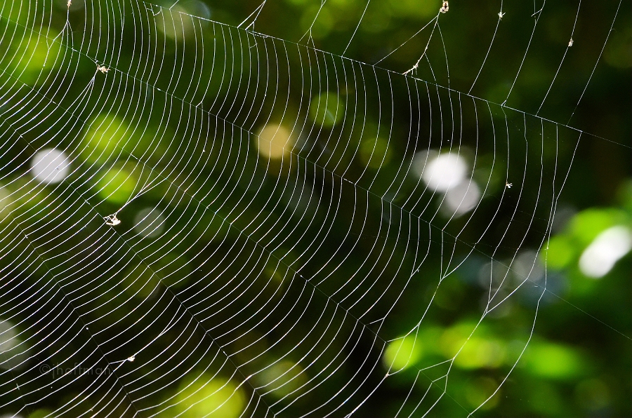 20110828_128
