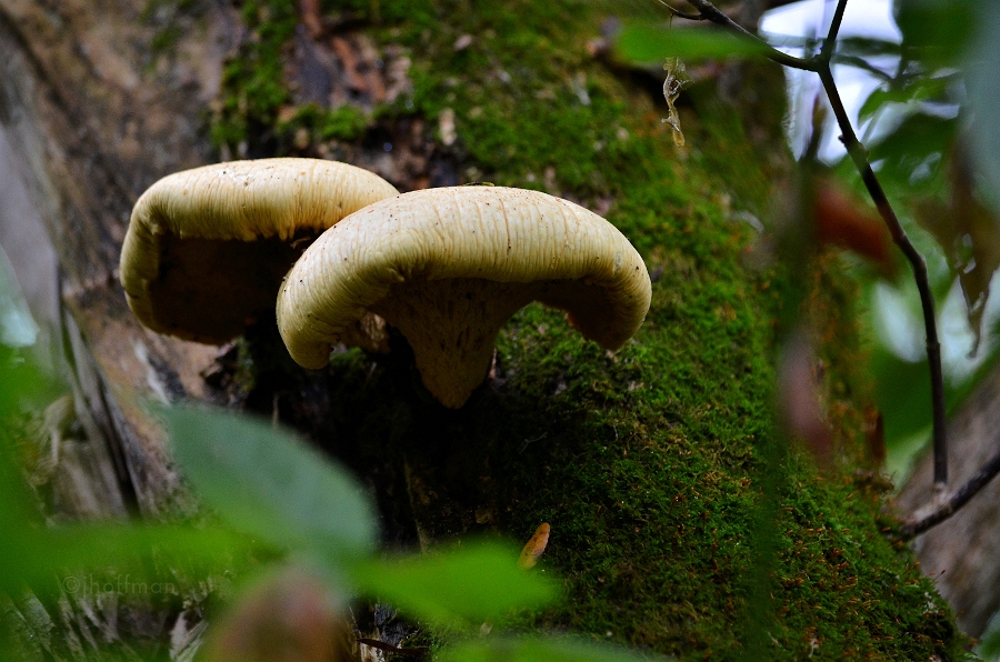 20110909_17