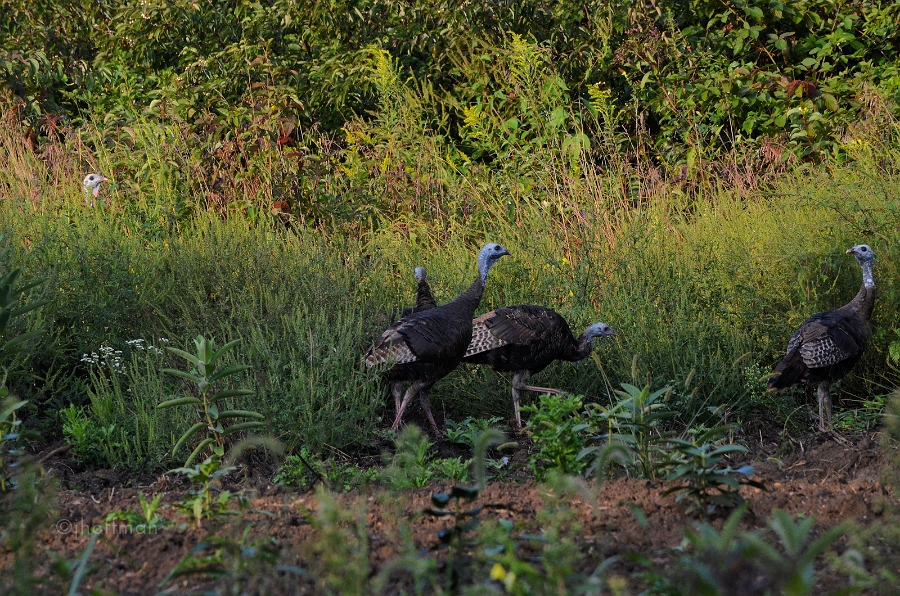 20110911_13