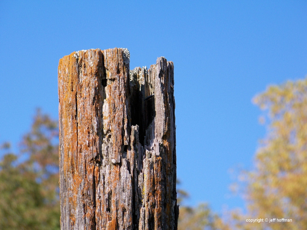 fence-100408-087-fence_post