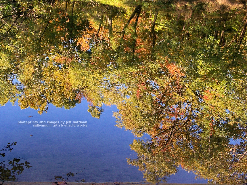 reflections-101208-006-sugar_creek_trees