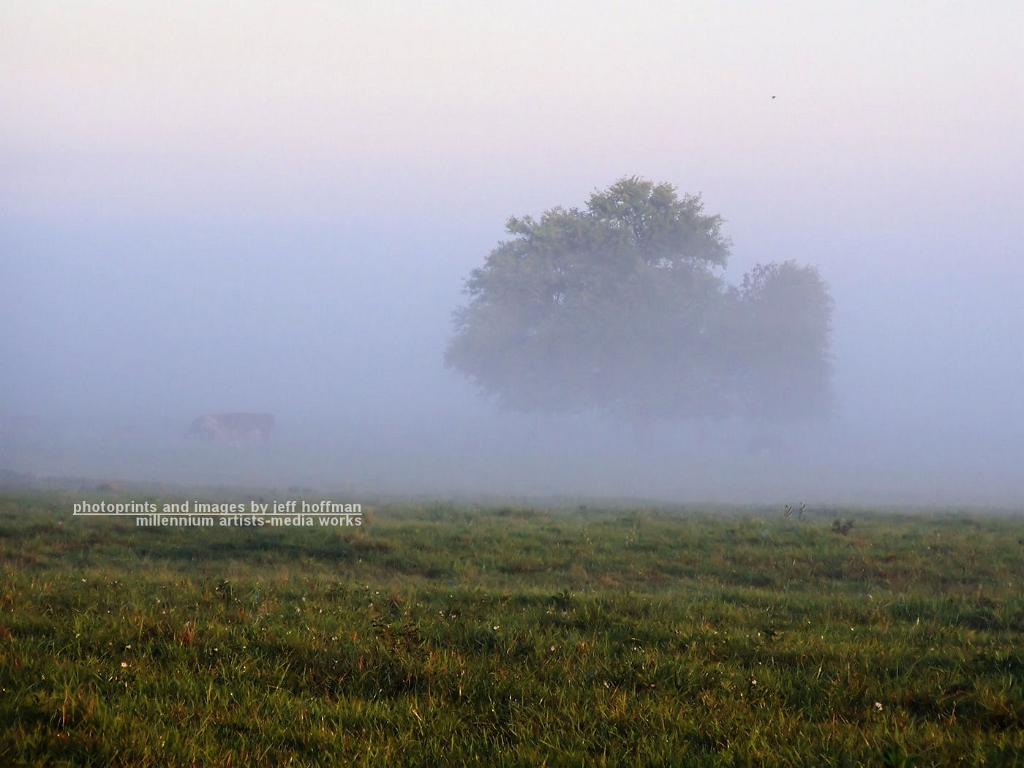 sunrise-81608-088-foggy_sunrise