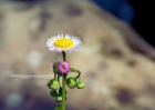 050509_147