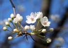 20090327_5