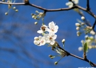 20090327_7