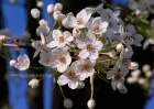 20090330_28