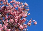 20090404_10