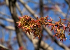 20090404_16