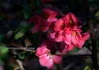20090404_38