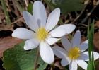20110409_30