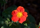 20110413_1