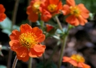 20110413_35
