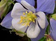 20110413_5