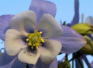 20110414_1