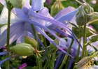 20110414_11