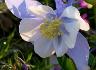 20110414_9