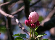 20110417_106